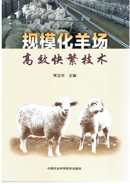 書封面
