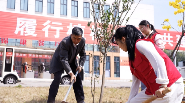 植樹3 植樹3