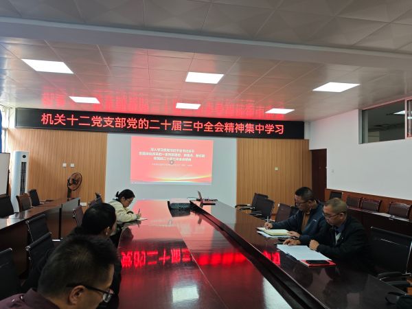 機(jī)關(guān)十二支部學(xué)習(xí)1 機(jī)關(guān)十二支部學(xué)習(xí)1