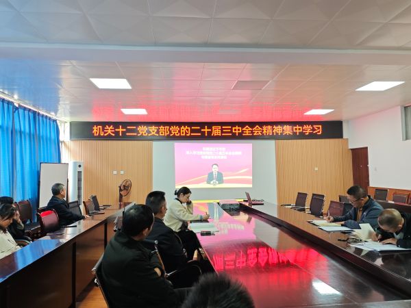 機(jī)關(guān)十二支部學(xué)習(xí)3 機(jī)關(guān)十二支部學(xué)習(xí)3