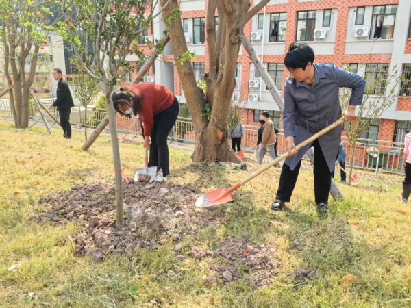 機關植樹6 機關植樹6