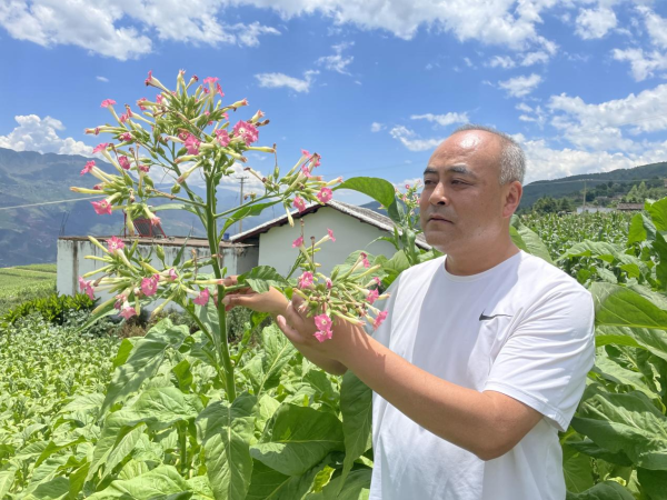 鄭傳剛