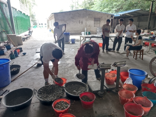 圖片2 圖片2