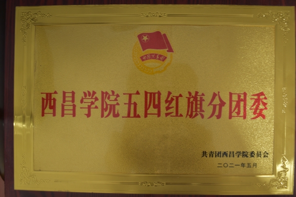 2021五四紅旗分團(tuán)委2021