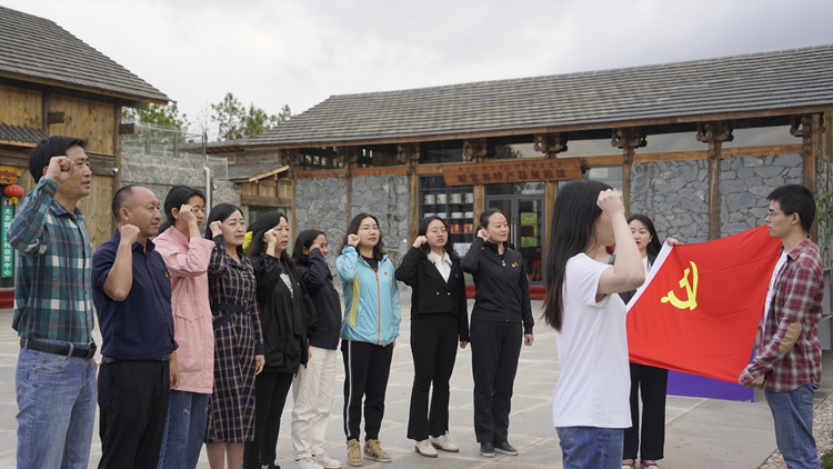 文化傳媒學(xué)院黨委教師支部赴三河村開展主題黨日活動
