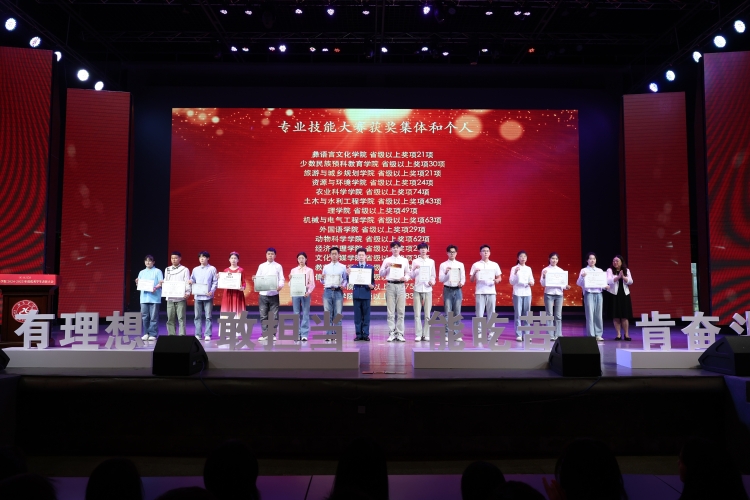 專業(yè)技能 專業(yè)技能