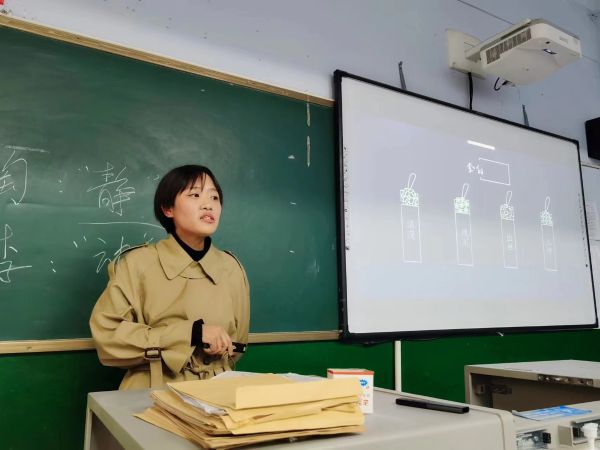 楊甲甲 楊甲甲